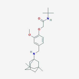 molecular formula C26H40N2O3 B315846 N-TERT-BUTYL-2-(4-{[(3,5-DIMETHYLADAMANTAN-1-YL)AMINO]METHYL}-2-METHOXYPHENOXY)ACETAMIDE 