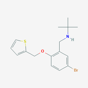 molecular formula C16H20BrNOS B316289 N-[5-BROMO-2-(2-THIENYLMETHOXY)BENZYL]-N-(TERT-BUTYL)AMINE 