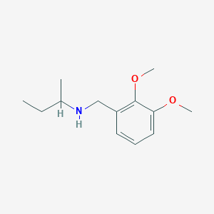 B3164570 (Butan-2-yl)[(2,3-dimethoxyphenyl)methyl]amine CAS No. 893576-87-9