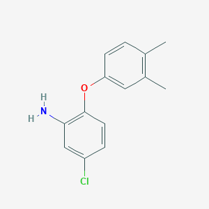 molecular formula C14H14ClNO B3164881 5-Chloro-2-(3,4-dimethylphenoxy)aniline CAS No. 893750-99-7