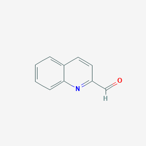 molecular formula C10H7NO B031650 2-Quinolinecarboxaldehyde CAS No. 5470-96-2