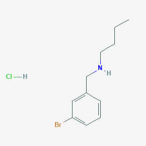 molecular formula C11H17BrClN B3165849 N-(3-Bromobenzyl)-1-butanamine hydrochloride CAS No. 90389-56-3