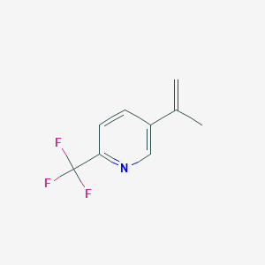 molecular formula C9H8F3N B3166359 5-(Prop-1-EN-2-YL)-2-(trifluoromethyl)pyridine CAS No. 910486-39-4