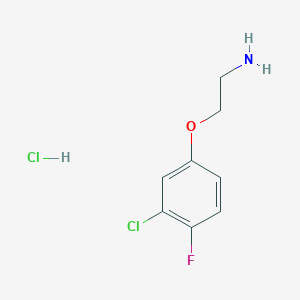 molecular formula C8H10Cl2FNO B3166785 2-(3-Chloro-4-fluorophenoxy)ethylamine hydrochloride CAS No. 914086-51-4