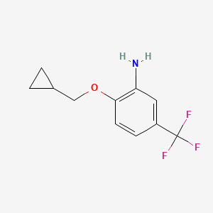 molecular formula C11H12F3NO B3169417 2-(Cyclopropylmethoxy)-5-(trifluoromethyl)aniline CAS No. 937596-84-4