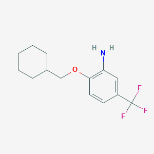 molecular formula C14H18F3NO B3169423 2-(Cyclohexylmethoxy)-5-(trifluoromethyl)aniline CAS No. 937596-86-6