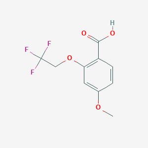 molecular formula C10H9F3O4 B3169490 4-Methoxy-2-(2,2,2-trifluoroethoxy)benzoic acid CAS No. 937602-70-5
