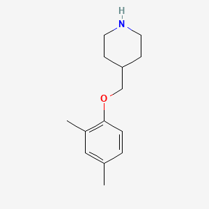 molecular formula C14H21NO B3172976 4-[(2,4-Dimethylphenoxy)methyl]piperidine CAS No. 946758-59-4
