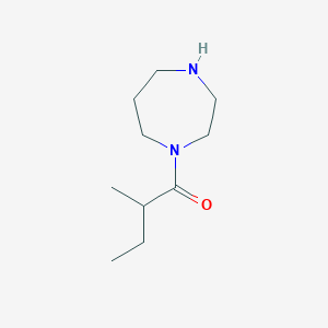 molecular formula C10H20N2O B3174577 1-(1,4-Diazepan-1-yl)-2-methylbutan-1-one CAS No. 953898-12-9
