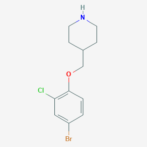 molecular formula C12H15BrClNO B3174669 4-(4-Bromo-2-chloro-phenoxymethyl)-piperidine CAS No. 954226-40-5