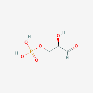 molecular formula C3H7O6P B031755 3-磷酸甘油醛 CAS No. 591-57-1