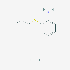 molecular formula C9H14ClNS B3176319 [2-(Propylthio)phenyl]amine hydrochloride CAS No. 98960-66-8