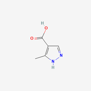 molecular formula C5H6N2O2 B3176675 3-Methyl-1H-pyrazole-4-carboxylic acid CAS No. 1035225-22-9