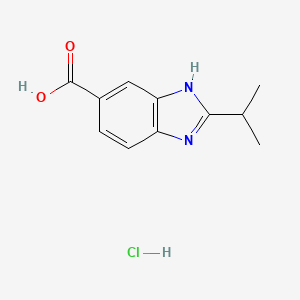 2-Isopropyl-1H-benzoimidazole-5-carboxylic acid hydrochloride