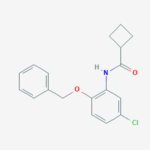 molecular formula C18H18ClNO2 B317853 N-[2-(benzyloxy)-5-chlorophenyl]cyclobutanecarboxamide 