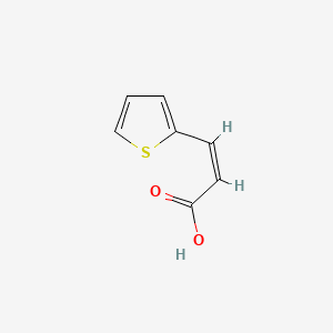 molecular formula C7H6O2S B3181014 (E)-3-(2-Thienyl)acrylic acid CAS No. 51019-83-1