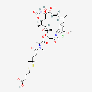 molecular formula C42H60ClN3O12S2 B3182562 N2'-(4-((3-羧基丙基)二硫)-4-甲基-1-氧戊基)-N2'-去乙酰紫杉宁 CAS No. 905449-84-5