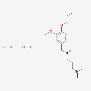 molecular formula C16H30Cl2N2O2 B3182669 [3-(Dimethylamino)propyl][(3-methoxy-4-propoxyphenyl)methyl]amine dihydrochloride CAS No. 1049750-88-0
