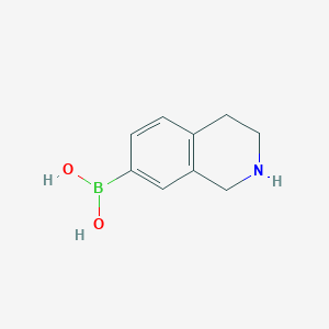 molecular formula C9H12BNO2 B3184319 (1,2,3,4-Tetrahydroisoquinolin-7-yl)boronic acid CAS No. 1096359-11-3