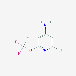 molecular formula C6H4ClF3N2O B3186310 2-Chloro-6-(trifluoromethoxy)pyridin-4-amine CAS No. 1221171-99-8