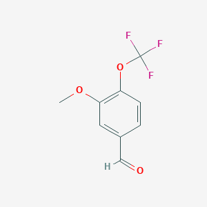 molecular formula C9H7F3O3 B3186628 3-Methoxy-4-(trifluoromethoxy)benzaldehyde CAS No. 1261483-00-4
