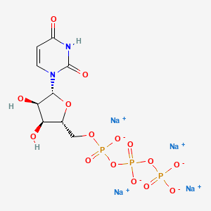 molecular formula C9H11N2Na4O15P3 B3187201 Uridine 5'-triphosphate tetrasodium CAS No. 14264-46-1