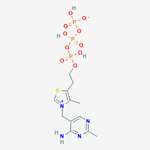 molecular formula C12H19N4O10P3S B031887 Thiamine triphosphoric acid ester CAS No. 3475-65-8