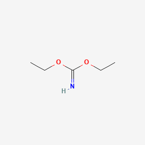 molecular formula C5H11NO2 B3189124 diethoxymethanimine CAS No. 2812-77-3