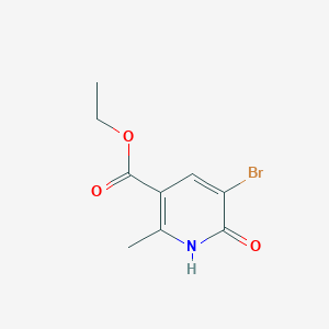 molecular formula C9H10BrNO3 B3190398 Ethyl 5-bromo-2-methyl-6-oxo-1,6-dihydropyridine-3-carboxylate CAS No. 41598-77-0