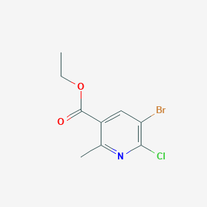 molecular formula C9H9BrClNO2 B3190403 Ethyl 5-bromo-6-chloro-2-methylnicotinate CAS No. 41598-78-1