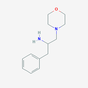 molecular formula C13H20N2O B3202260 1-(Morpholin-4-yl)-3-phenylpropan-2-amine CAS No. 1021146-87-1
