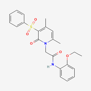 molecular formula C23H24N2O5S B3203281 2-[3-(benzenesulfonyl)-4,6-dimethyl-2-oxo-1,2-dihydropyridin-1-yl]-N-(2-ethoxyphenyl)acetamide CAS No. 1021251-85-3