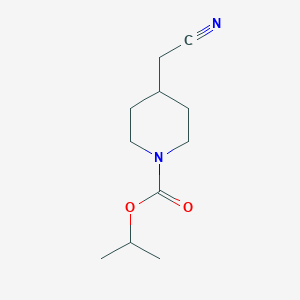 molecular formula C11H18N2O2 B3207682 Propan-2-yl 4-(cyanomethyl)piperidine-1-carboxylate CAS No. 1046815-98-8