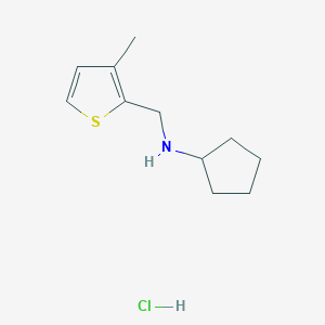 molecular formula C11H18ClNS B3207768 N-[(3-Methyl-2-thienyl)methyl]cyclopentanamine hydrochloride CAS No. 1048664-91-0