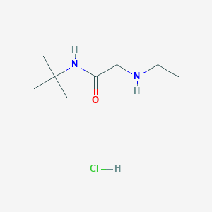 molecular formula C8H19ClN2O B3208320 N-tert-butyl-2-(ethylamino)acetamide hydrochloride CAS No. 1049763-87-2