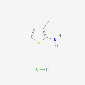 molecular formula C5H8ClNS B3208964 3-Methylthiophen-2-amine hydrochloride CAS No. 1056619-56-7