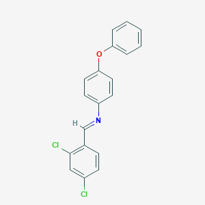 molecular formula C19H13Cl2NO B321587 N-(2,4-dichlorobenzylidene)-4-phenoxyaniline 