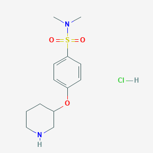 molecular formula C13H21ClN2O3S B3217896 N,N-dimethyl-4-(piperidin-3-yloxy)benzenesulfonamide hydrochloride CAS No. 1185311-83-4