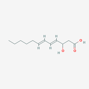molecular formula C12H20O3 B3228435 (4E,6E)-3-hydroxydodeca-4,6-dienoic acid CAS No. 1263035-68-2