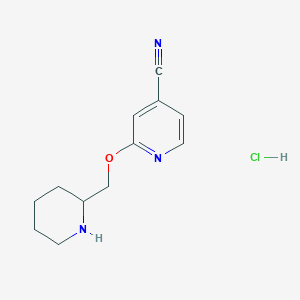 B3229866 2-(Piperidin-2-ylmethoxy)isonicotinonitrile hydrochloride CAS No. 1289388-27-7