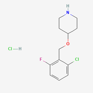 B3229902 4-(2-Chloro-6-fluoro-benzyloxy)-piperidine hydrochloride CAS No. 1289388-67-5