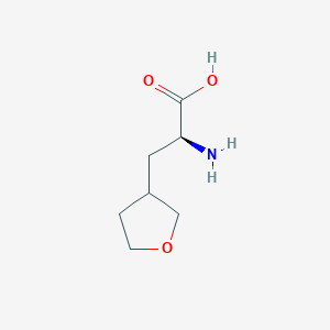 molecular formula C7H13NO3 B3232717 (2S)-2-Amino-3-(tetrahydrofuran-3-yl)propanoic acid CAS No. 1344964-79-9