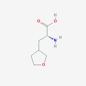 molecular formula C7H13NO3 B3232725 (2R)-2-Amino-3-(tetrahydrofuran-3-yl)propanoic acid CAS No. 1344974-68-0