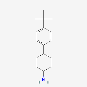 molecular formula C16H25N B3236423 4-(4-Tert-butylphenyl)cyclohexan-1-amine CAS No. 1369011-12-0