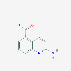 molecular formula C11H10N2O2 B3238539 methyl 2-aminoquinoline-5-carboxylate CAS No. 1414959-01-5