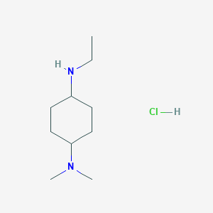 molecular formula C10H23ClN2 B3239004 N1-ethyl-N4,N4-dimethylcyclohexane-1,4-diamine hydrochloride CAS No. 1417794-44-5