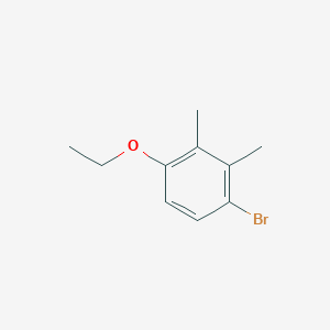 molecular formula C10H13BrO B3240148 1-Bromo-4-ethoxy-2,3-dimethylbenzene CAS No. 1428234-61-0