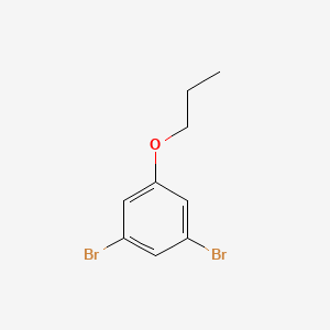 molecular formula C9H10Br2O B3243533 1,3-Bibromo-5-propoxybenzene CAS No. 1579943-29-5