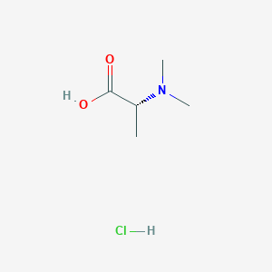 molecular formula C5H12ClNO2 B3245246 N,N-dimethyl-D-alanine hydrochloride CAS No. 16708-14-8