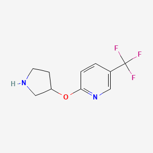 molecular formula C10H11F3N2O B3249495 2-(Pyrrolidin-3-yloxy)-5-(trifluoromethyl)pyridine CAS No. 194668-46-7